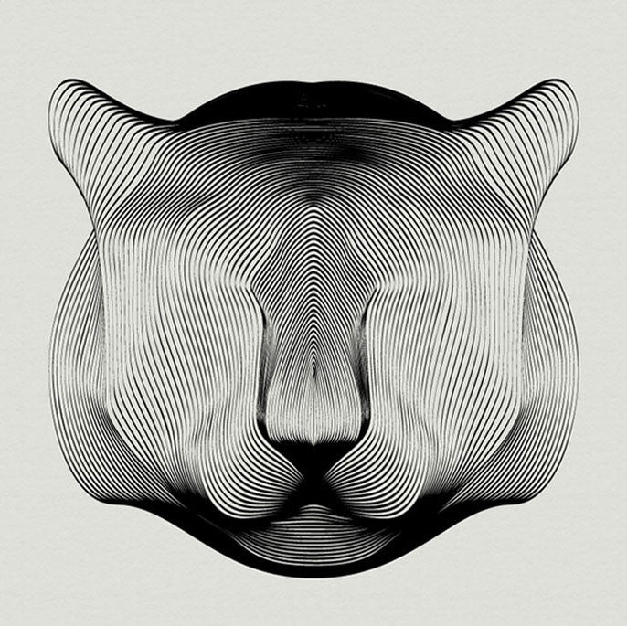 Animals in Moiré by Andrea Minini