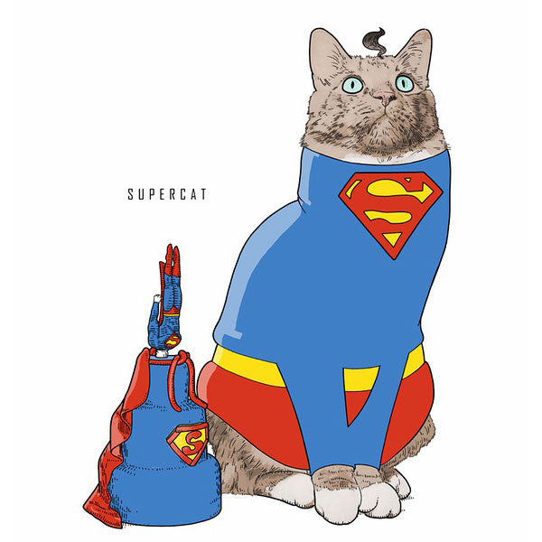 Iconic Cats - A Collection From AKE
