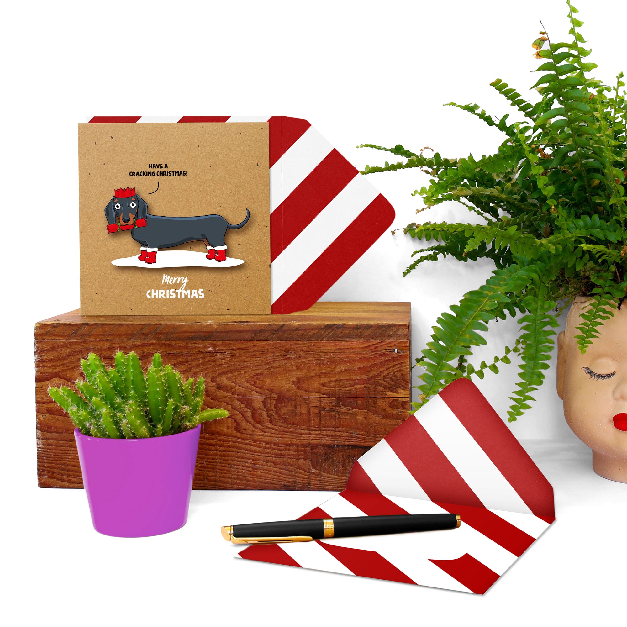 Cracking  Christmas Dachshund