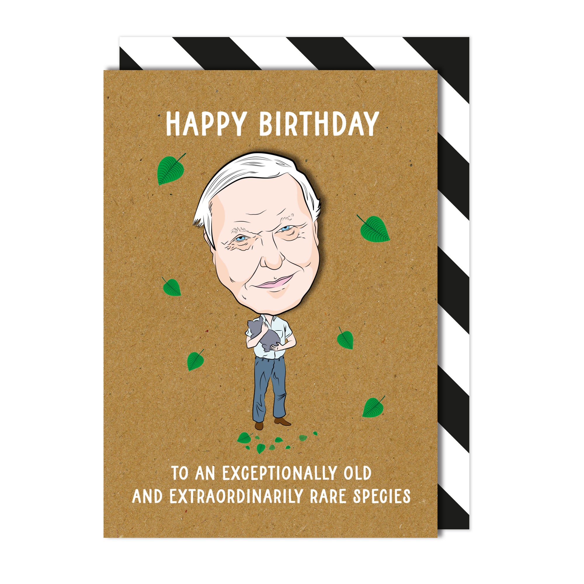David Attenborough 3D Handmade Birthday Card