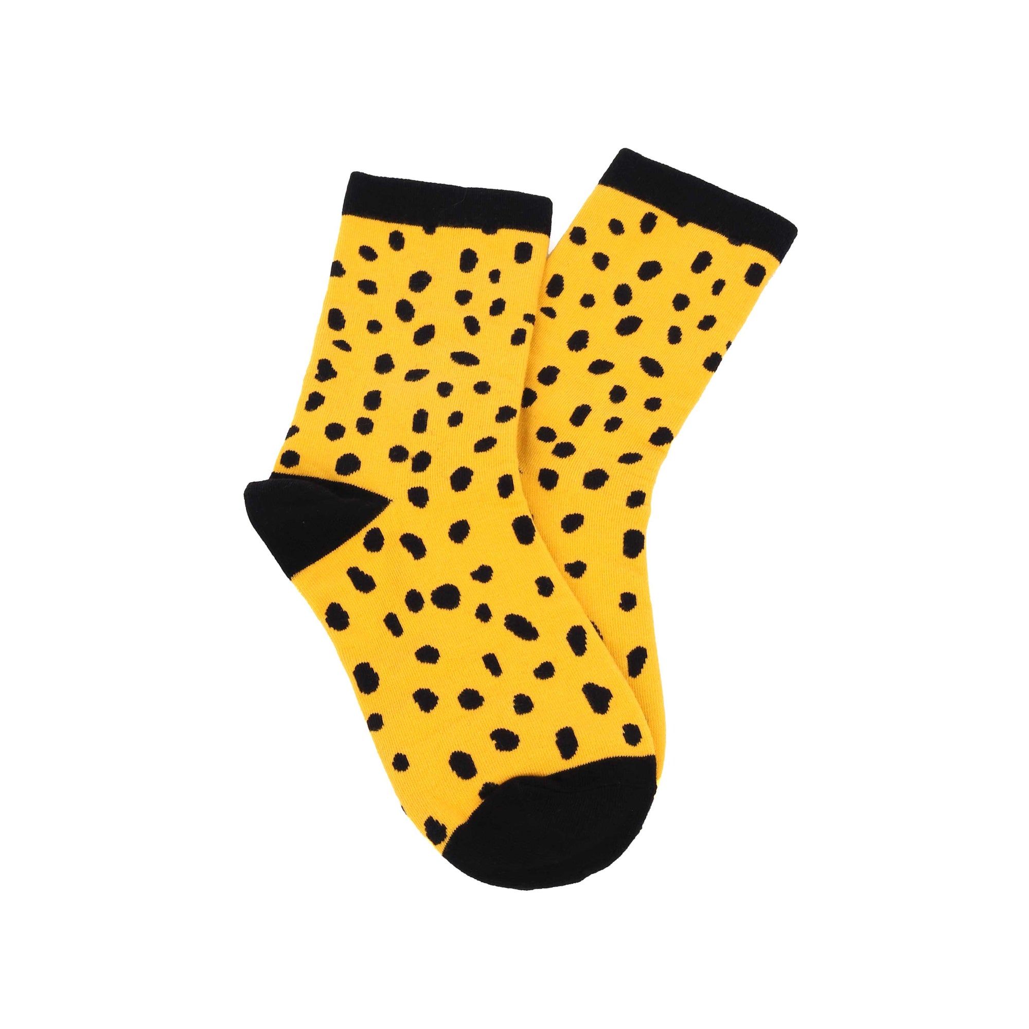 Socks in a Box