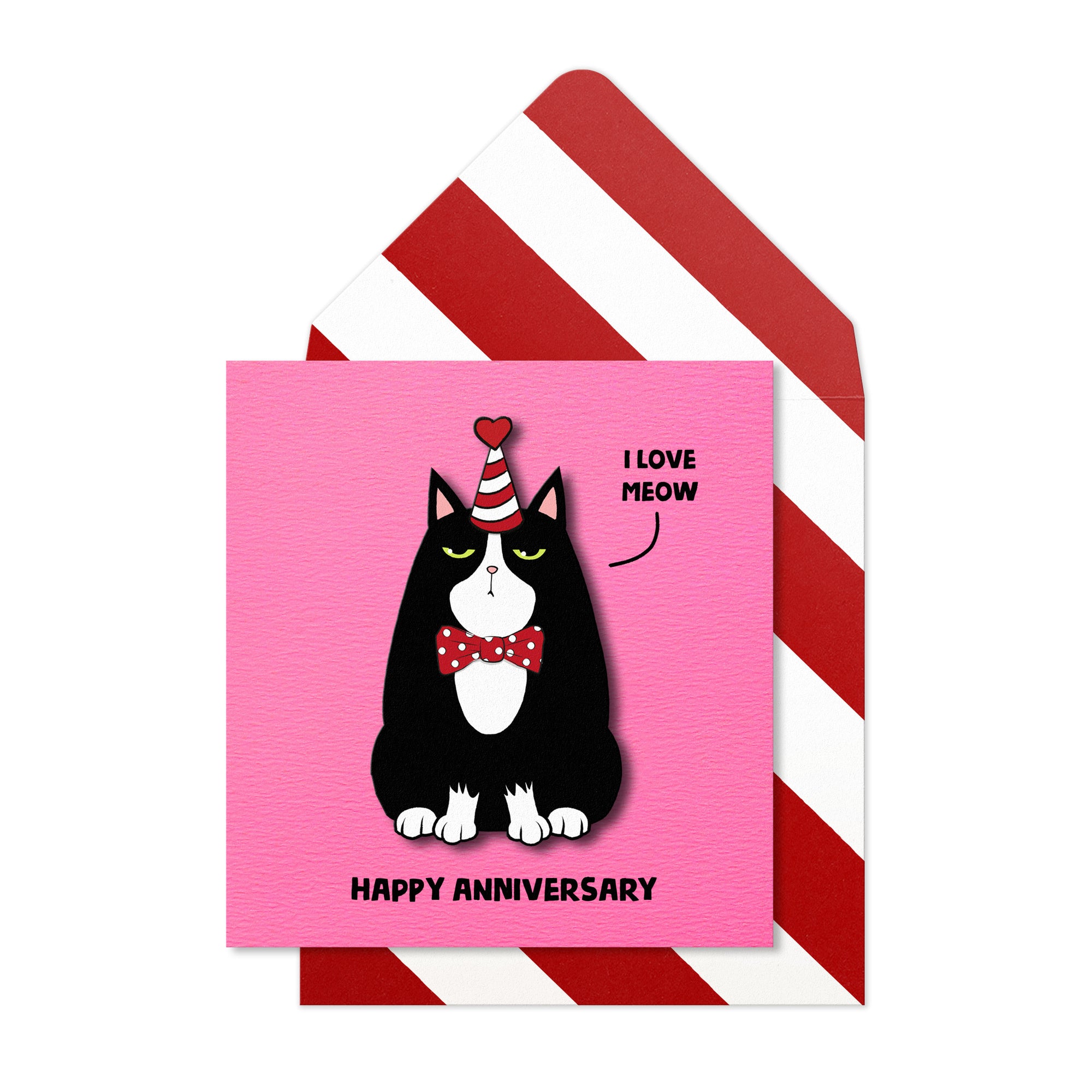 Happy Anniversary, I Love Meow! Handmade Greeting Card