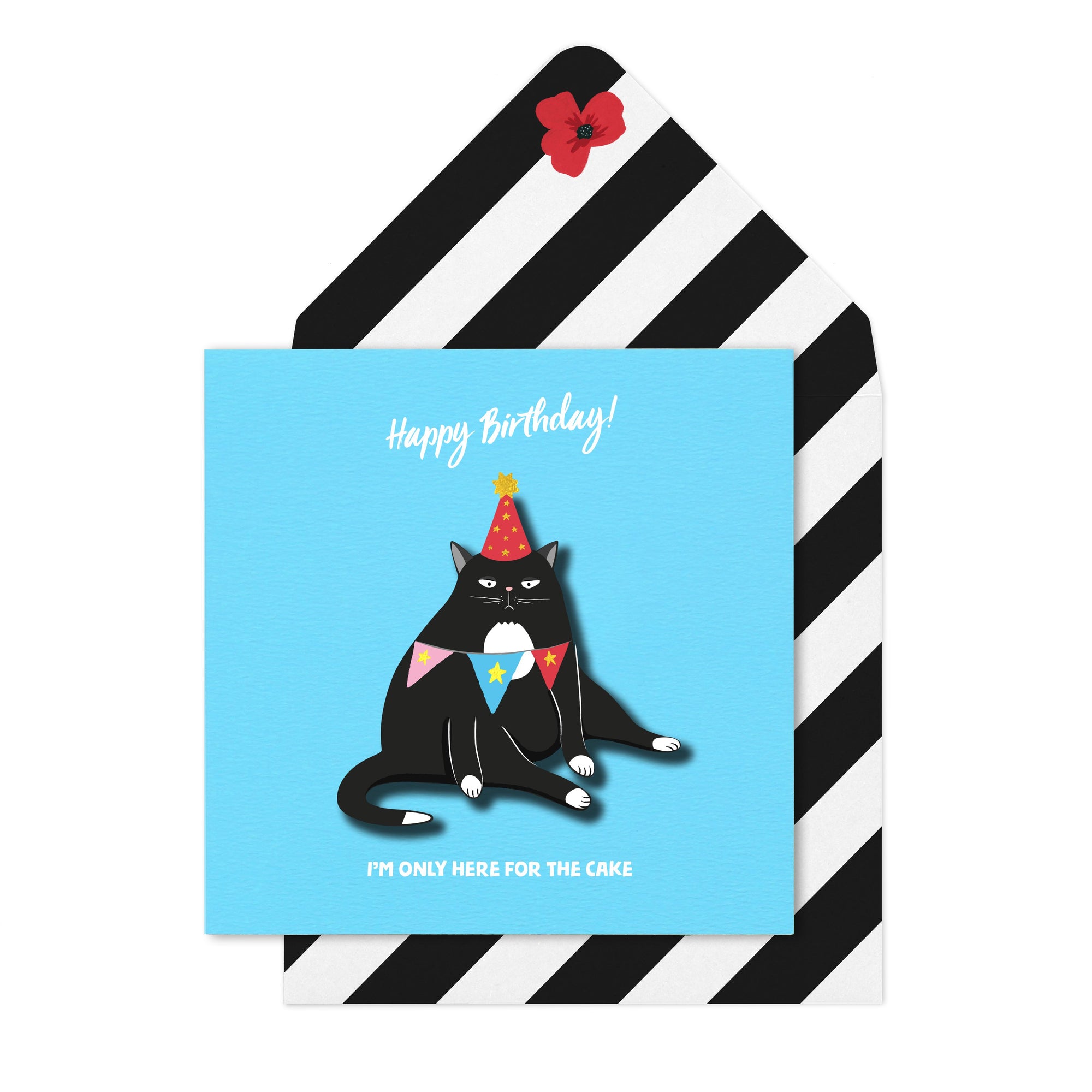 Grumpy Birthday Cat - TACHE Trade