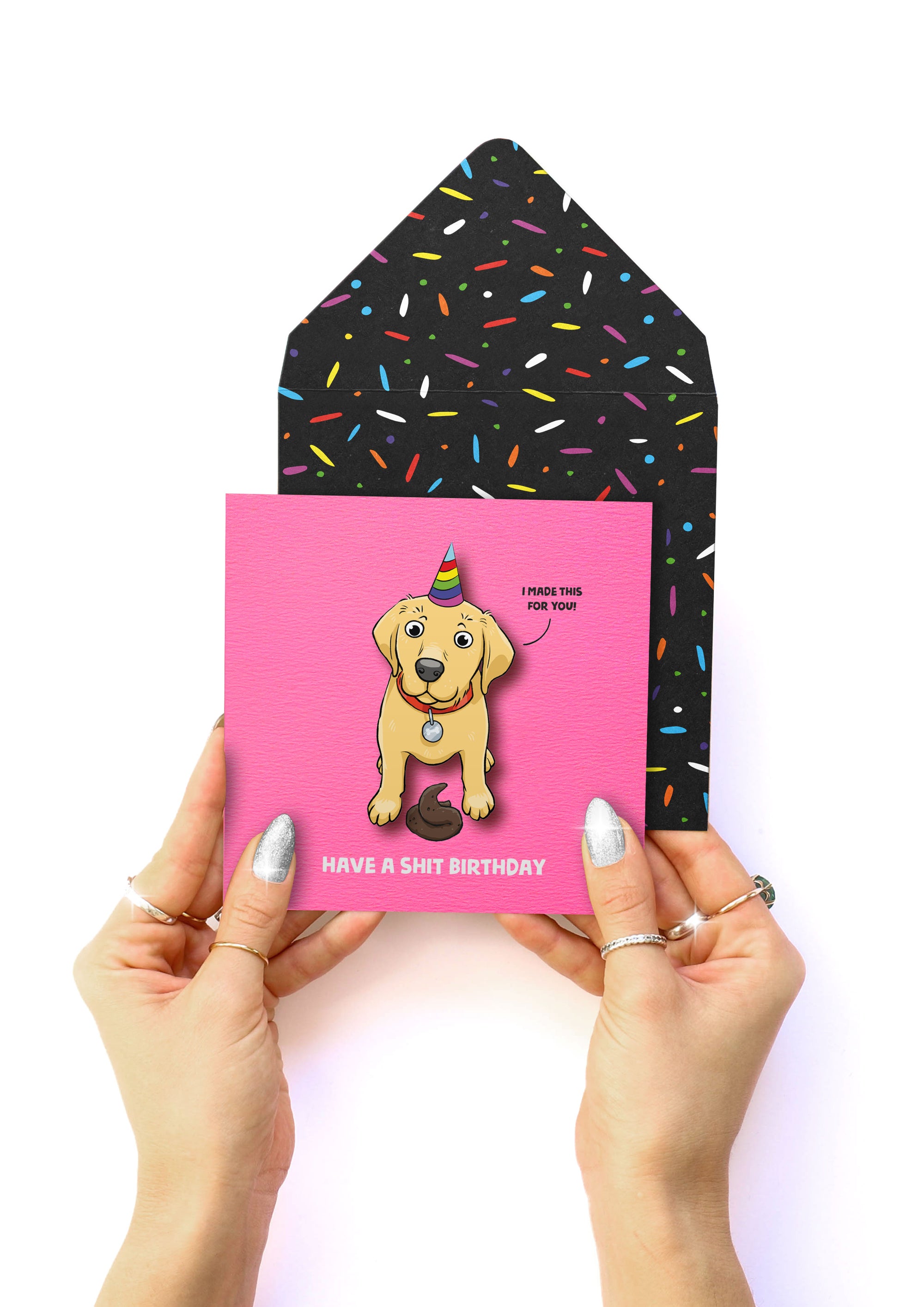 Funny Rude, Labrador Sh*t Birthday, 3D Handmade Greeting Card