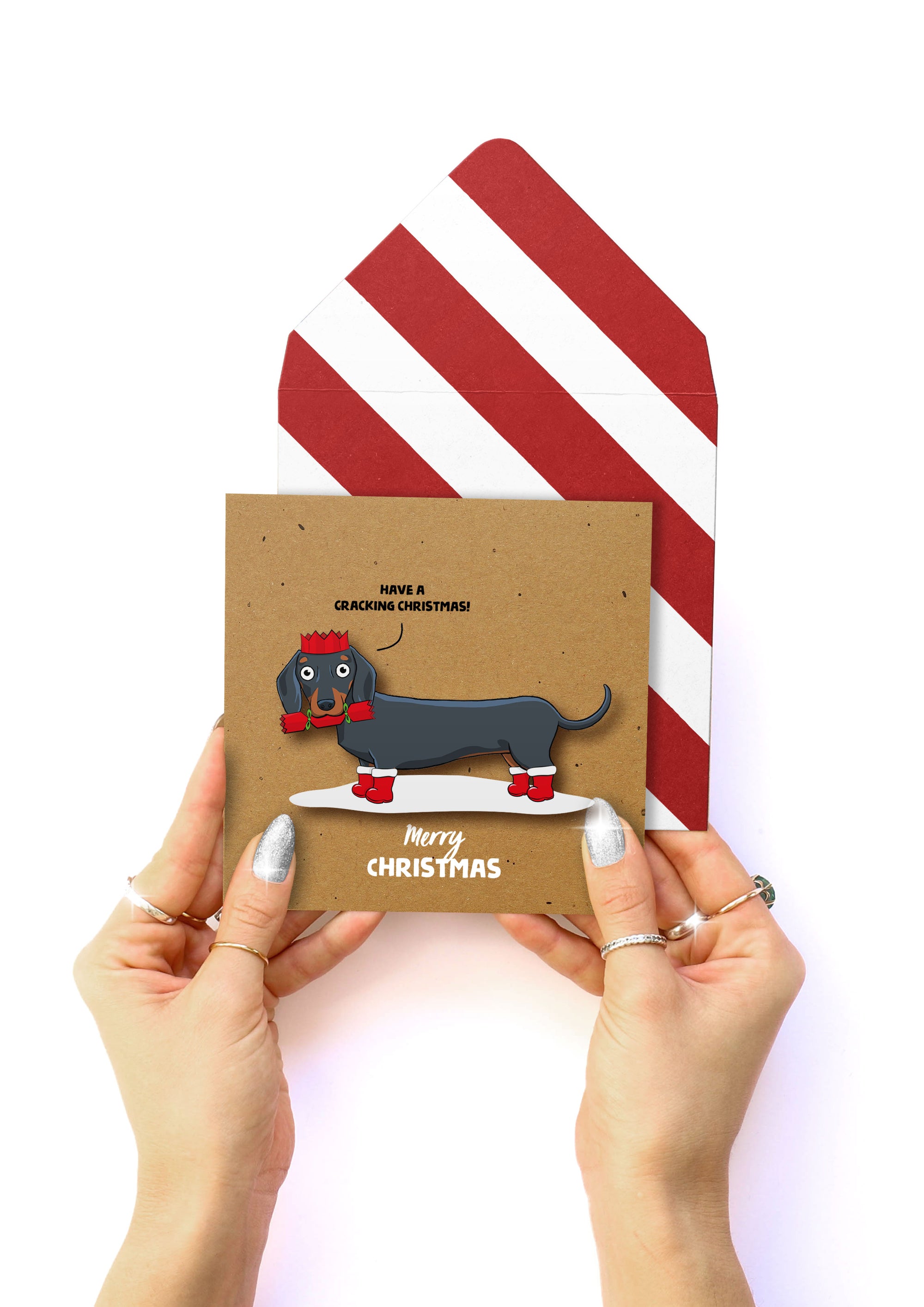 Cracking  Christmas Dachshund