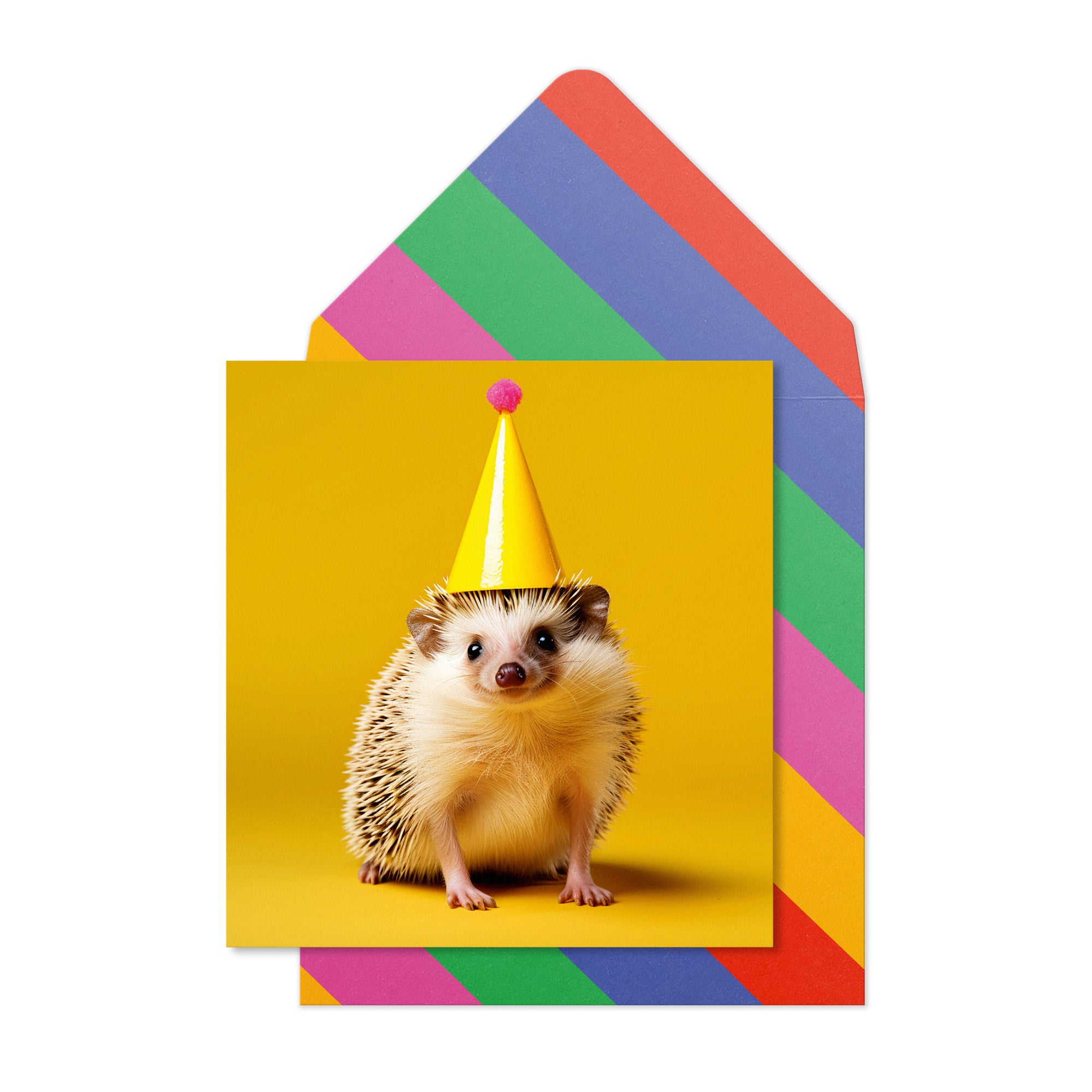 Birthday Hedgehog