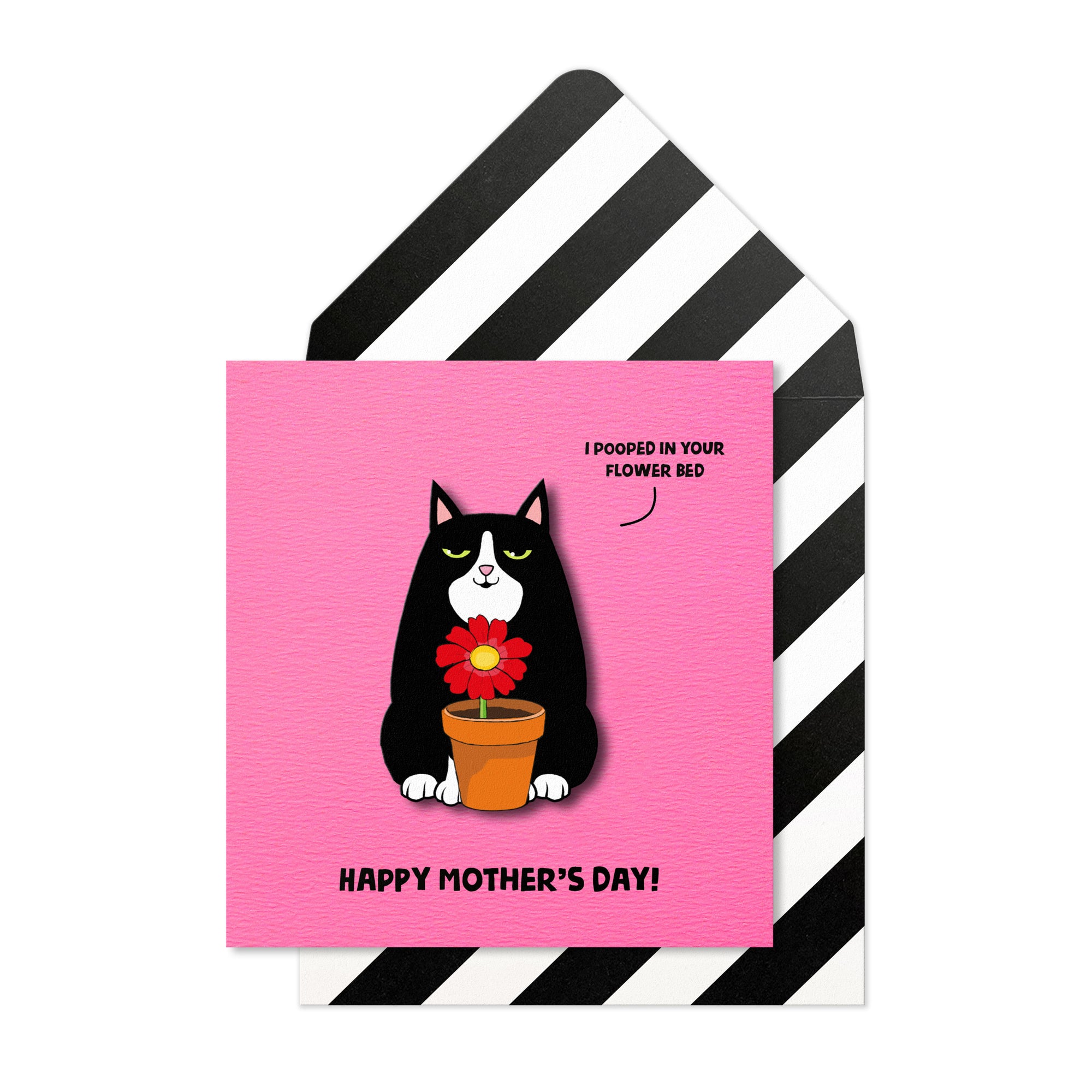 Happy Mother's Day, Black Cat