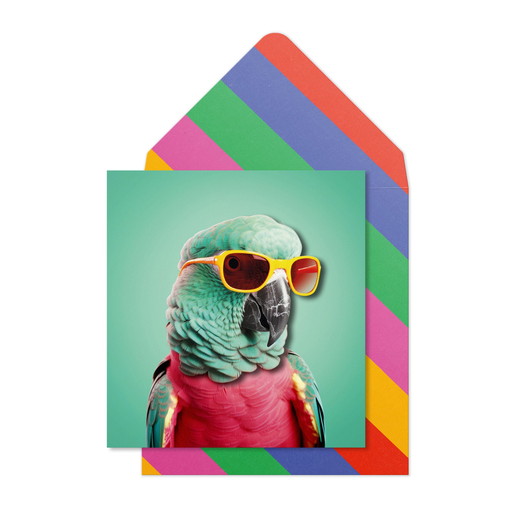 Stylish Parrot