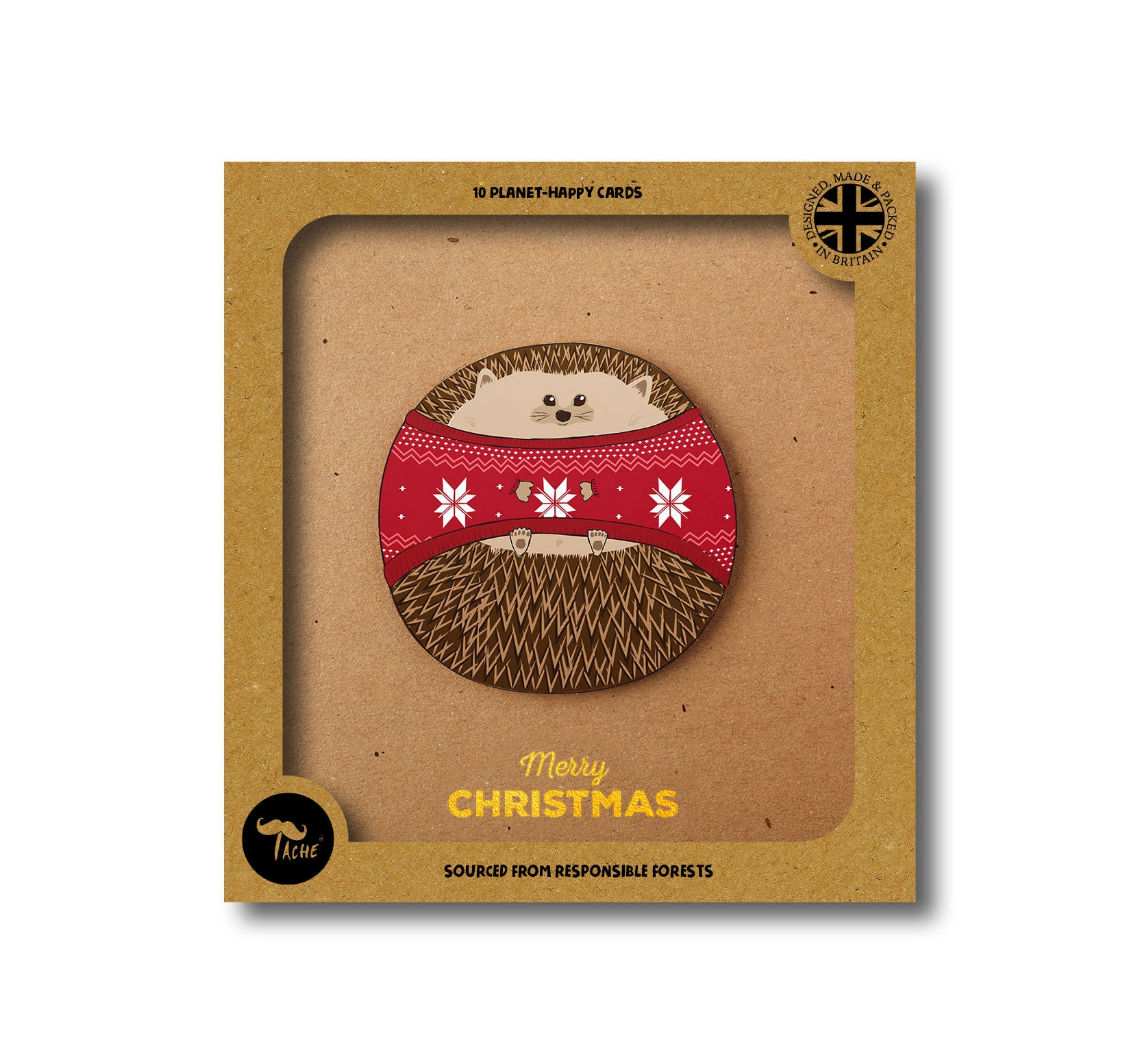 Christmas Hedgehog 10pk Box