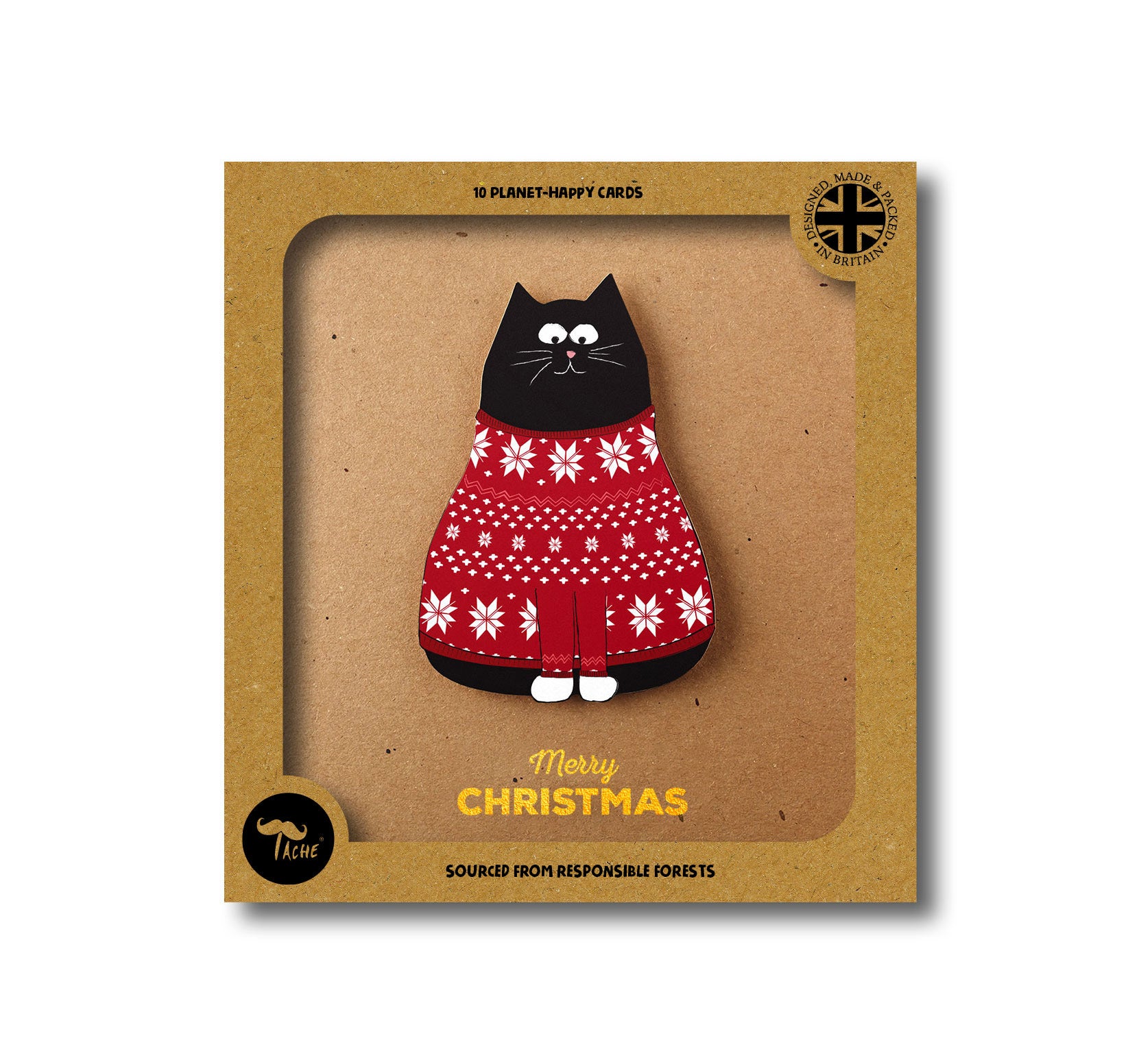 Merry Christmas' Cat in Christmas Jumper 10pk Box