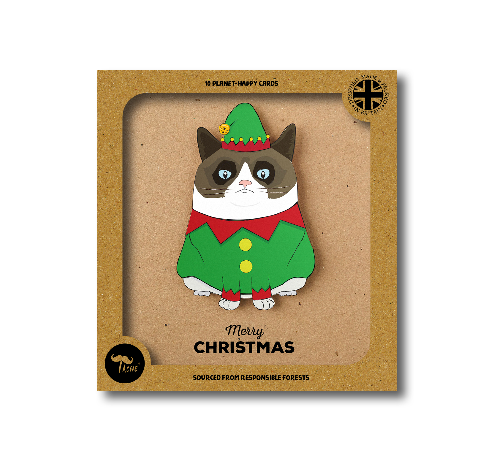 Merry Christmas' Grumpy Elf Cat 10pk Box